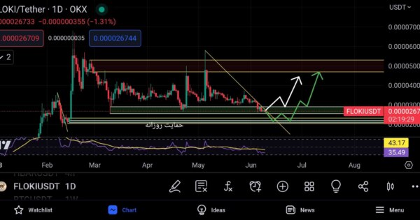 انفجار قیمت در انتظار FLOKI