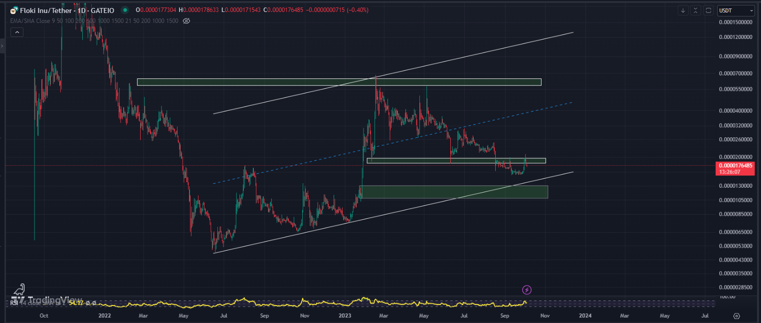 اگر سود چند برابری میخوای، این تحلیل فلوکی FLOKI رو حتماً بخون!