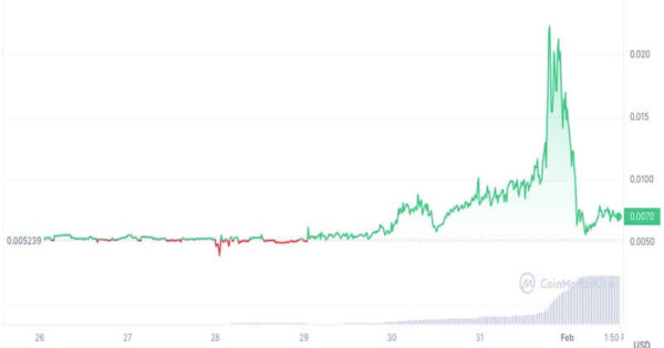 بهترین ارز برای سبد بلند مدتمون