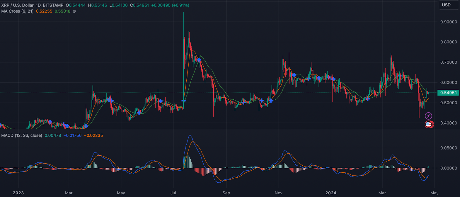 تعداد نهنگ های XRP در حال افزایش؛ آیا ریپل سد روانی ۰.۷ دلار رو میشکنه؟