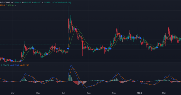 تعداد نهنگ های XRP در حال افزایش؛ آیا ریپل سد روانی ۰.۷ دلار رو میشکنه؟