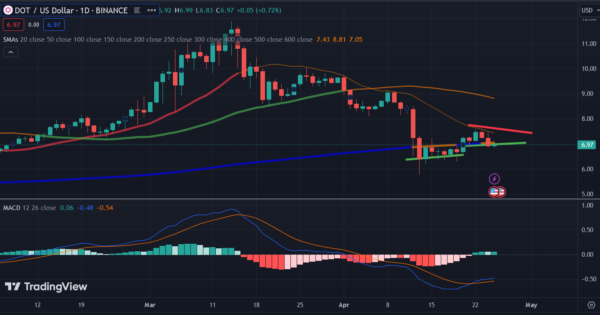 فرصت دوباره برای خرید DOT؟ قیمت به پایین ترین سطح 2 ماه گذشته رسید!