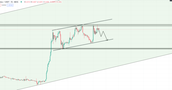 سلسیوس CEL در تایم یک ساعته