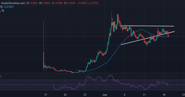 تحلیل تکنیکال نات کوین + سطوح قیمتی مهم!