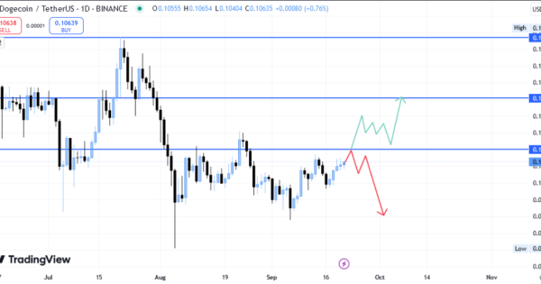 دوج کوین (DOGE)