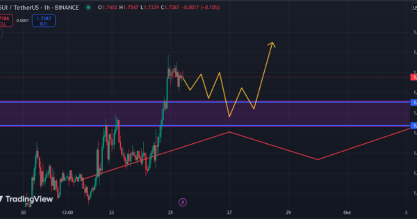 سیگنال رایگان ارز سویی (SUI)