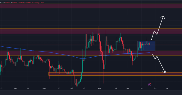 ریپل (XRP)، آماده افزایش