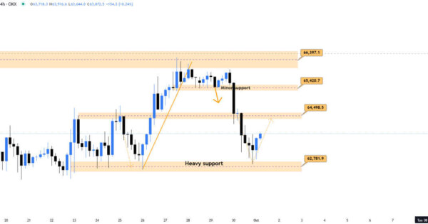 بیت کوین (BTC)