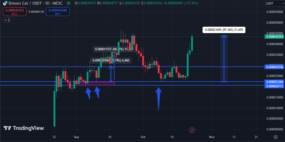 تحلیل میم کوین CAT: آماده صعود یا وقت خروج؟