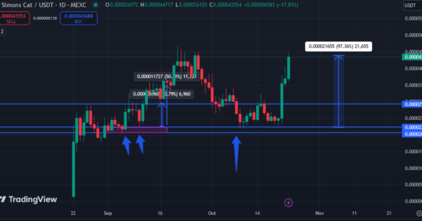 تحلیل میم کوین CAT: آماده صعود یا وقت خروج؟