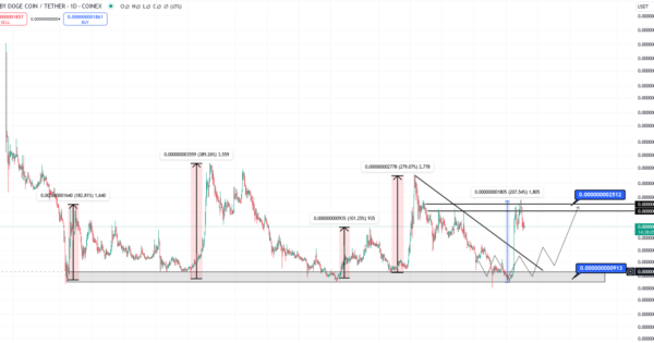 احتمال انفجار مجدد بیبی دوج (BABYDOGE)