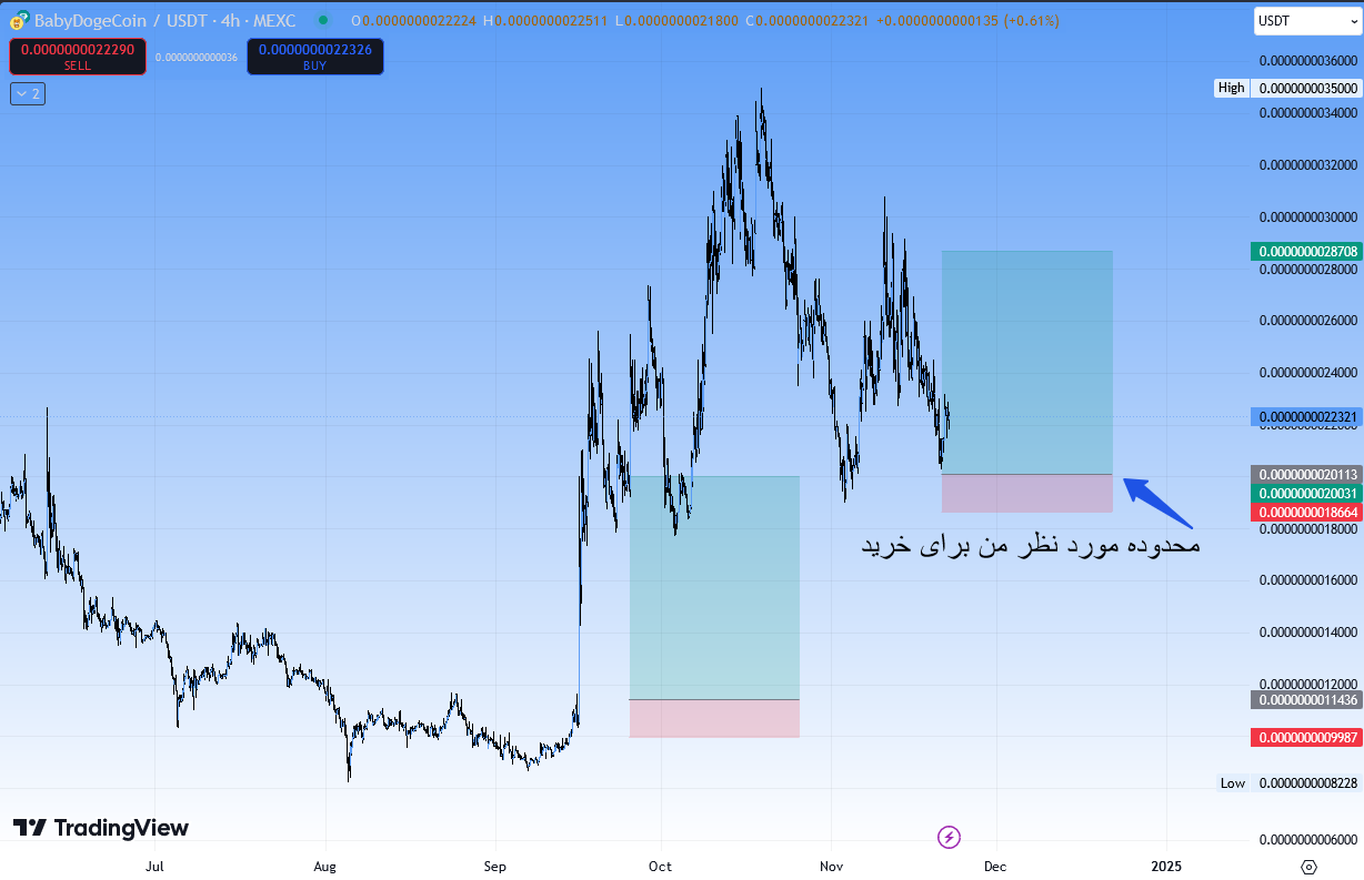 بیبی دوج (BABYDOGE)، بهترین محدوده ورود (سیگنال رایگان)