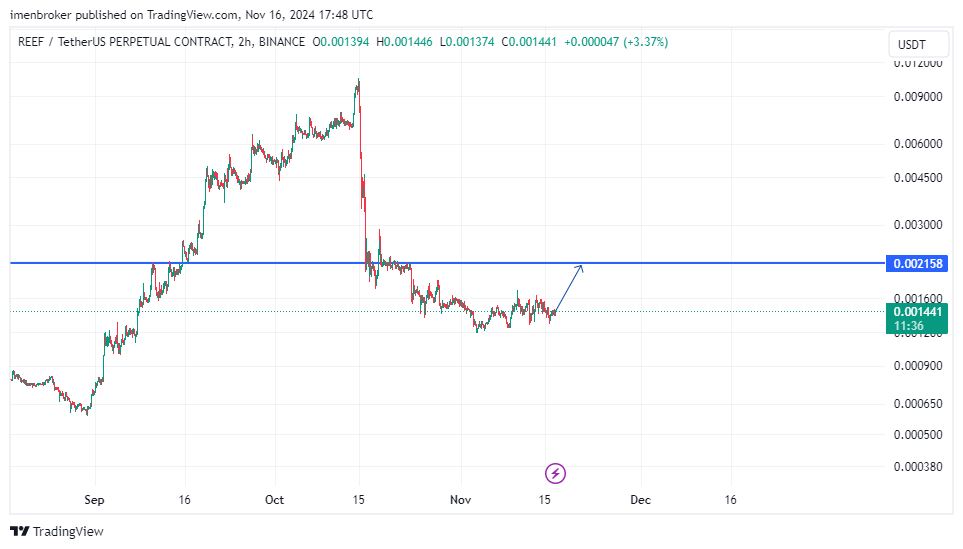 بهترین زمان برای خرید ریف -reef