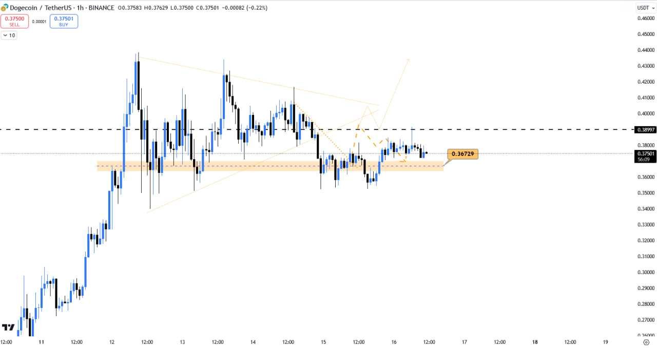 دوج کوین (DOGE)، تارگت