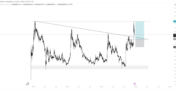 بیبی دوج (BABYDOGE)، قیمت عالی برای خرید