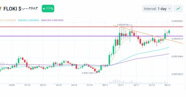 Flokiخارج شدن از رنج وتایید