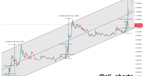 سیگنالیست، دوج کوین (DOGE)، تارگت ۲۰ دلار