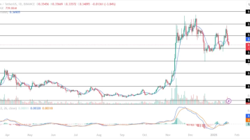 دوج کوین (DOGE)