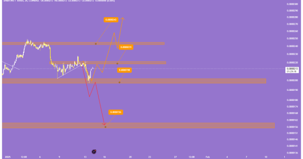 شیبا (SHIB)، تحلیل کوتاه مدت