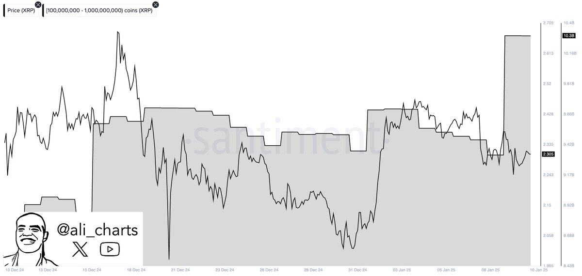 ریپل (XRP)، نهنگ ها در حال خرید