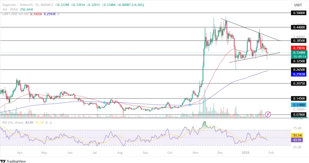 دوج کوین (DOGE)