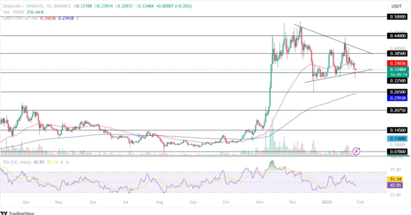 دوج کوین (DOGE)