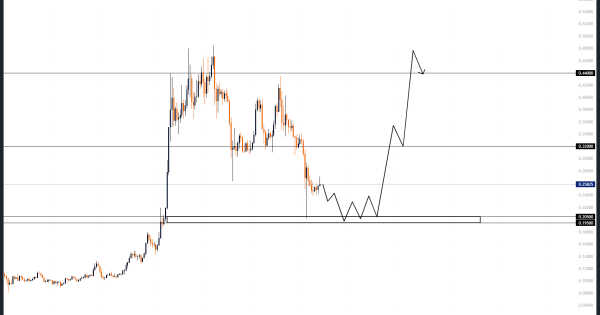 دوج کوین (DOGE)، روند پیش رو و قیمت مناسب خرید