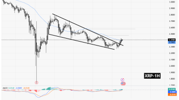 سیگنالیست، ریپل (XRP)