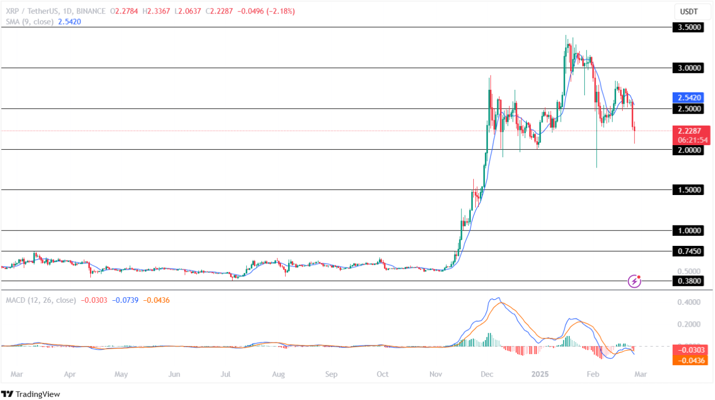 فعلا ریپل (XRP) نخرید