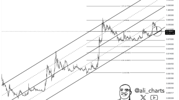 دوج کوین (DOGE)