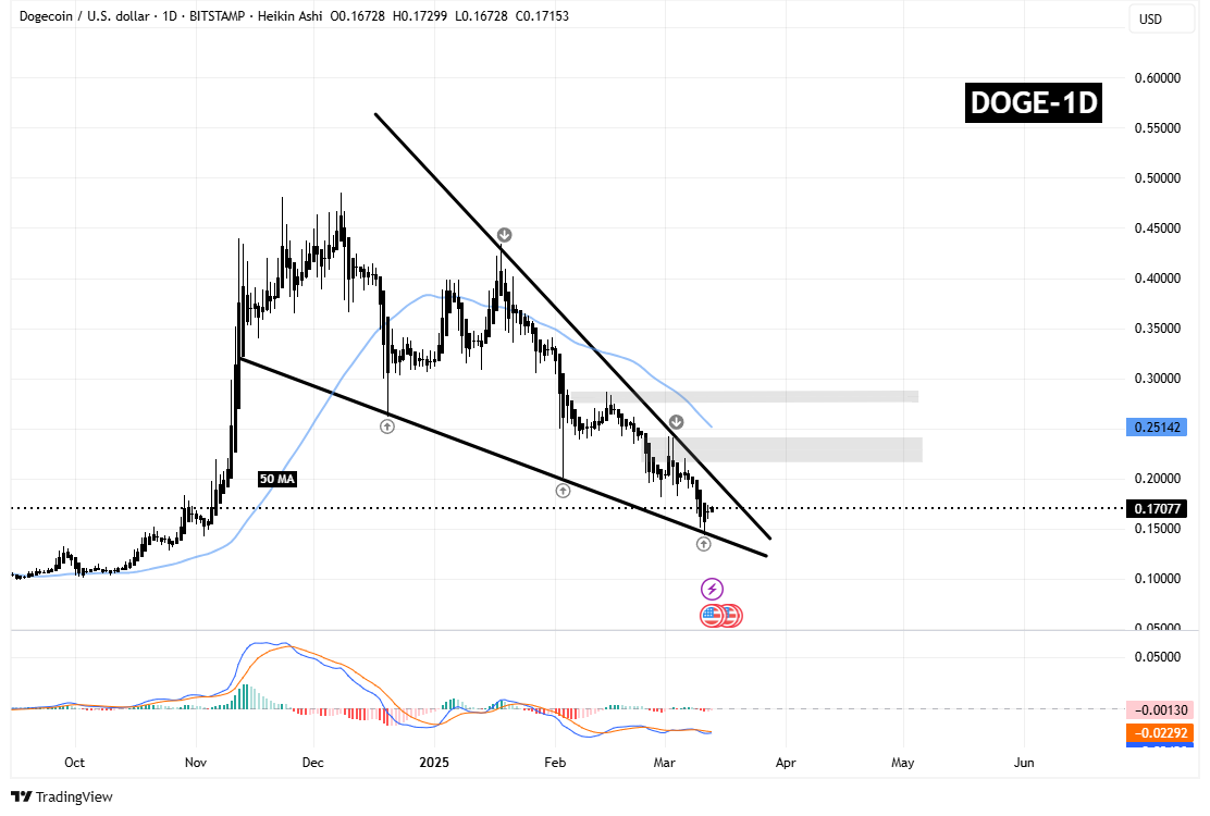 سیگنالیست، دوج کوین (DOGE) تو دنده لج و لج بازی