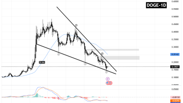 سیگنالیست، دوج کوین (DOGE) تو دنده لج و لج بازی