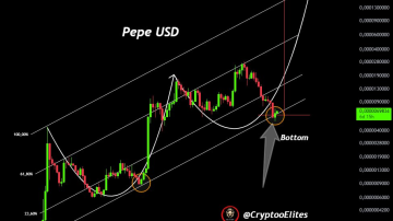 پپه (PEPE) وقت برگشت به بازی