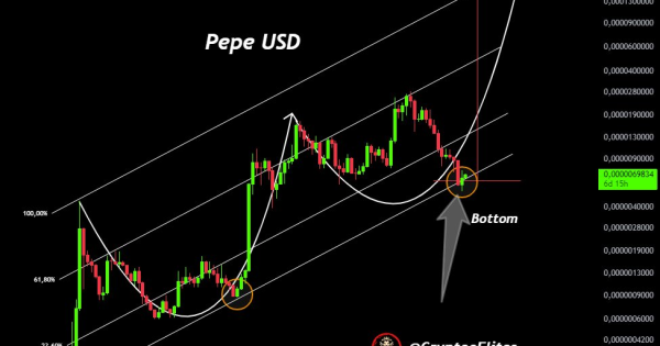 پپه (PEPE) وقت برگشت به بازی