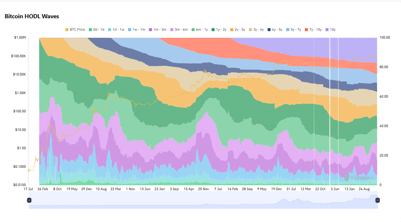 "بیت‌کوین در آستانه سقوط بزرگ؟ HODLers دست به فروش زدند!"