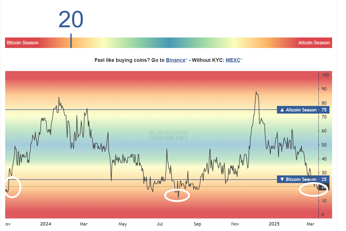 آلتکوینها آماده انفجار قیمتی! آیا از بازار جا میمانید؟