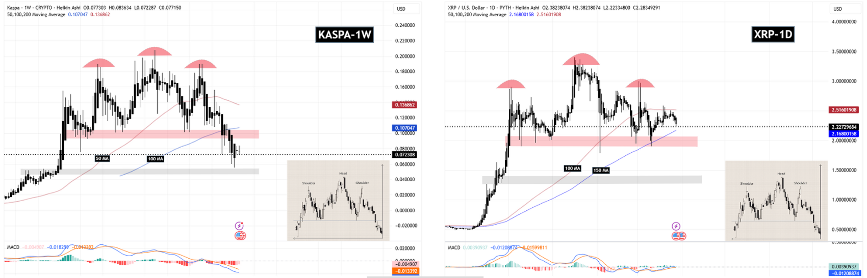 سیگنالیست، تحلیل ریپل (XRP)