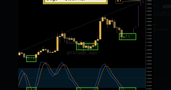 دوج کوین (DOGE)