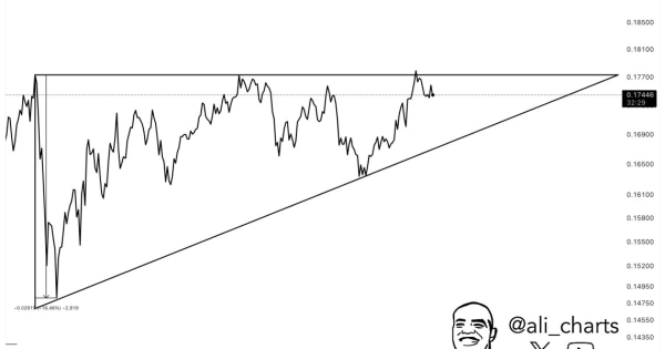 دوج کوین (DOGE)