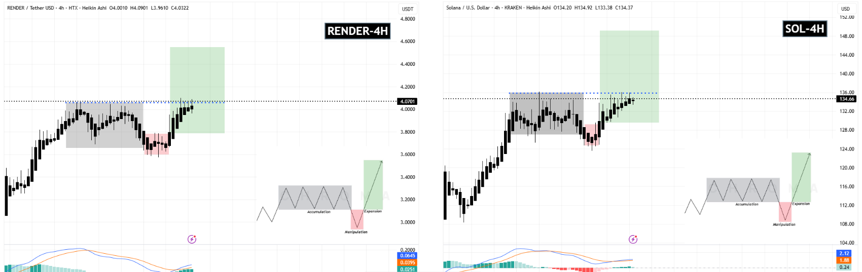 سیگنالیست، بوی پامپ میاد!