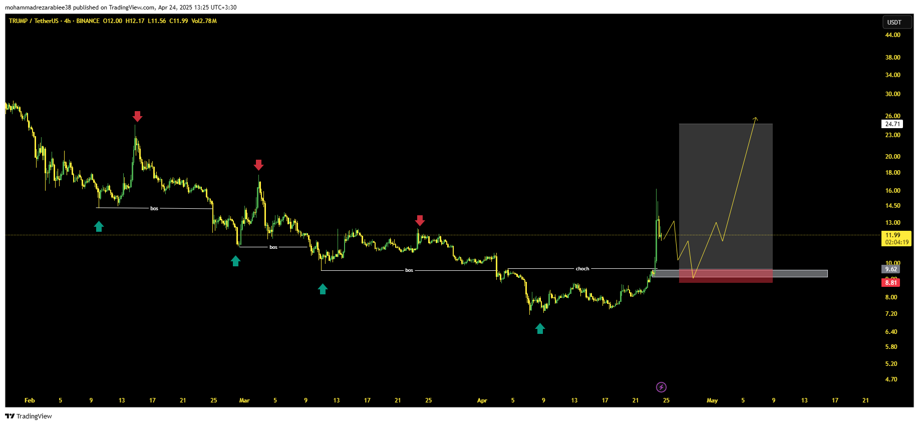 نهنگا برگشتن، وقت موج‌سواریه