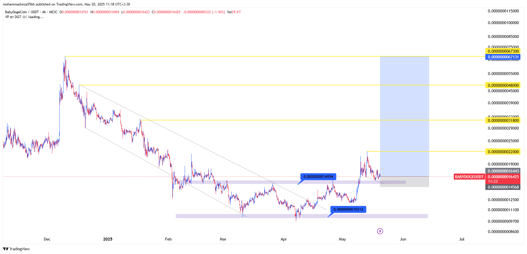 بیبی دوج (babydoge) آماده پرواز