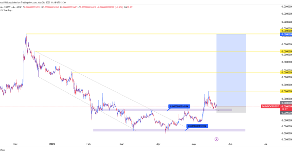 بیبی دوج (babydoge) آماده پرواز