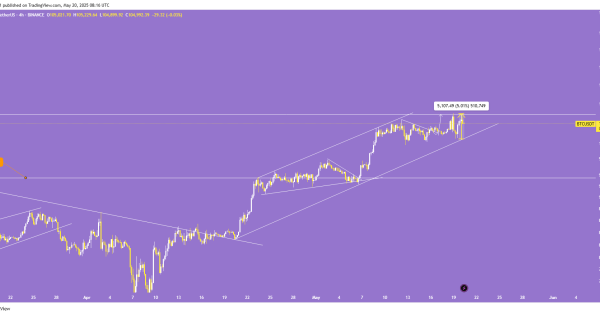 زی زی برگشت با اپدیت بیت کوین