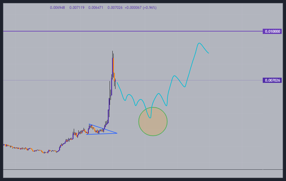 پامپ میم کوین