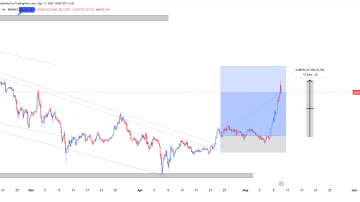 دوج کوین (DOGE)