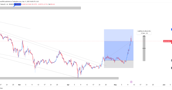 دوج کوین (DOGE)