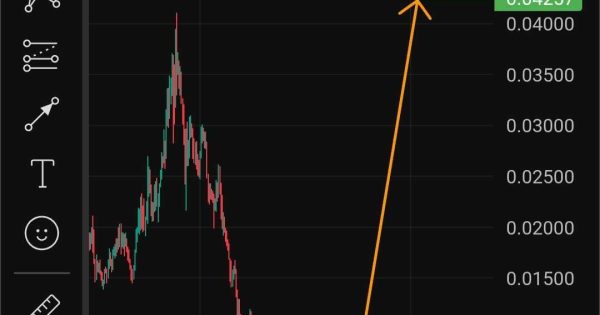 ارز پامپی بیم ایکس BEAMX