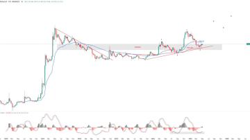 دوج کوین (DOGE)