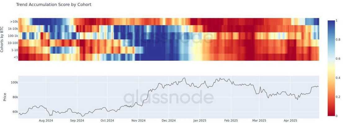 نهنگ‌ها در حال شکار